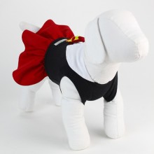 Vestido para pet
